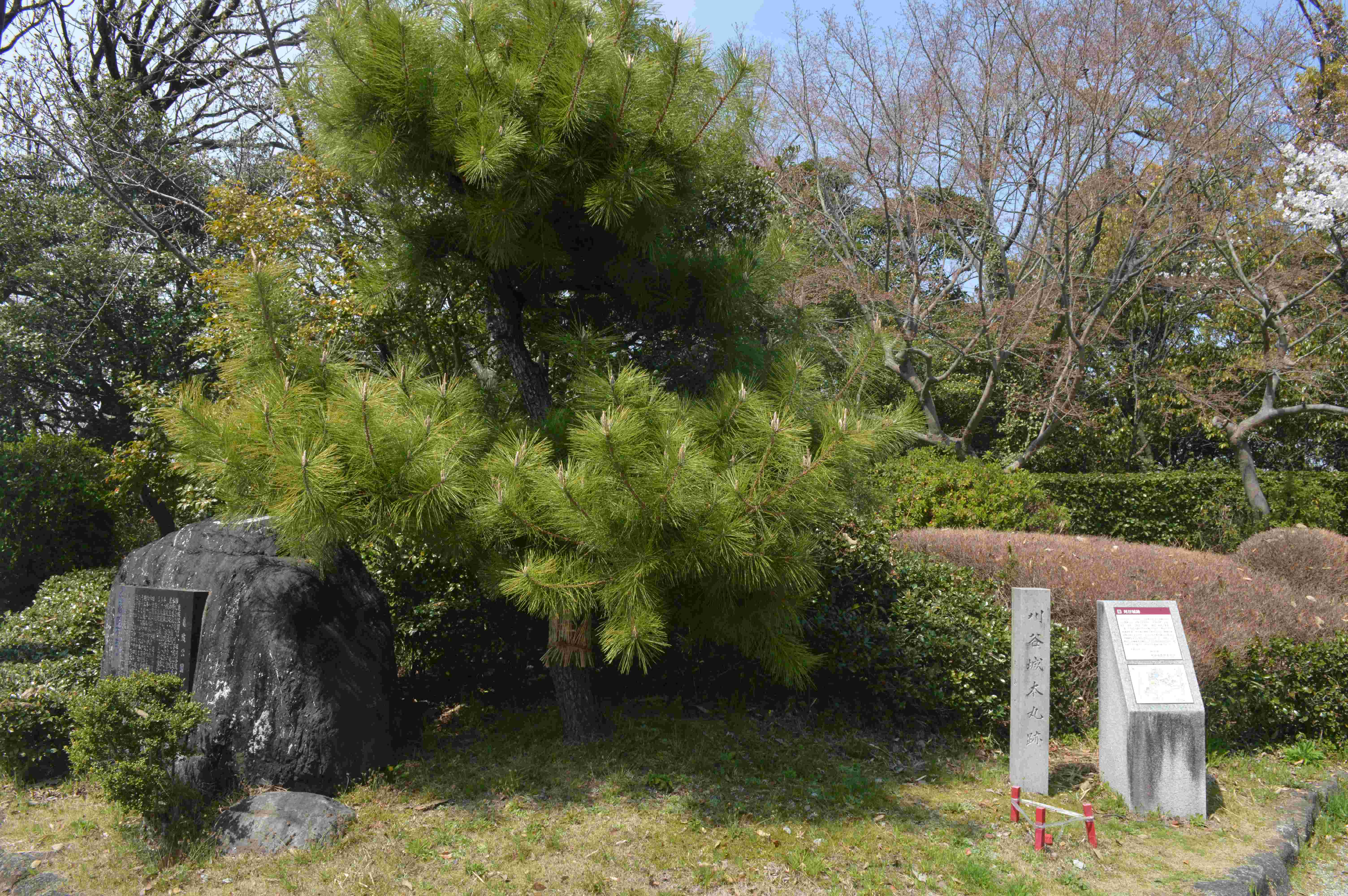 🌸 기죠 공원 이미지 8